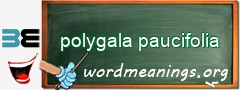 WordMeaning blackboard for polygala paucifolia